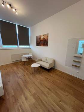 Blick in den Wohnbereich - 1 Zimmer Etagenwohnung zur Miete in Fürth