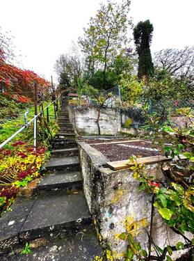 Garten2.jpg - 