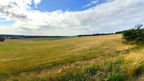 Pulsnitz freier Blick in Richtung Süden - Grundstück in Pulsnitz zum Kaufen