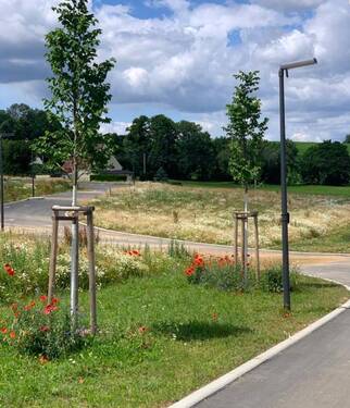 Platz für Ihr Traumhaus - 