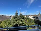 Blick vom Westbalkon ins Grüne - 