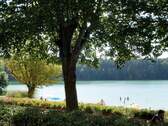 Uferweg am Wukensee - 