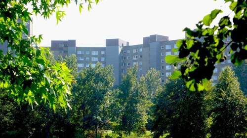 Ansicht Wohnanlage aus benachbarter Grünanlage - Platz für die Familie - 4-Zimmer-Wohnung in Darmstadt-Kranichstein