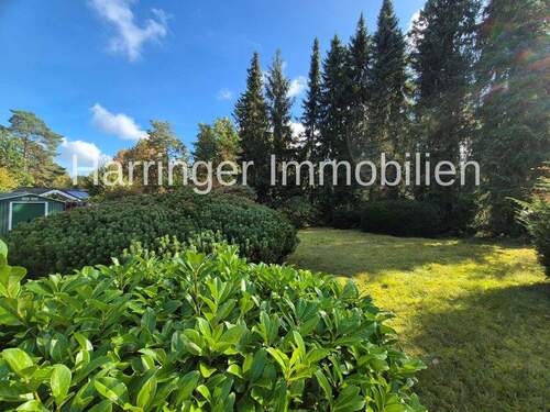 Blick ins Grüne - 4 Zimmer Bungalow in Buchholz in der Nordheide