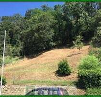 Schönes Baugrundstück in Wittlich-Lüxem