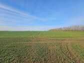 Angrenzendes Feld - 