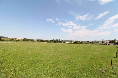 Feldrandlage - 