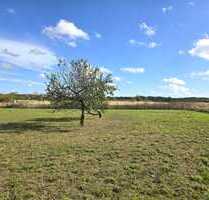 Großes Grundstück in ruhige Lage - Ideal für Pferde und Gemüseanbau - Ahrensfelde Elisenau