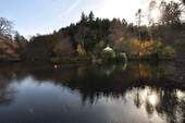 naturnahe Lage - Waldsee - 