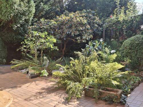 Blick in's Grüne! - 