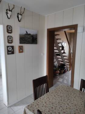 IMG-20251027-WA0016.jpg - 