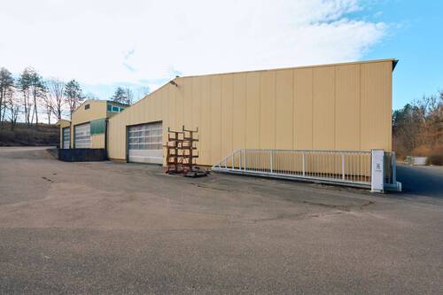 Halle 1 mit Sektionaltor und Freifläche - 
