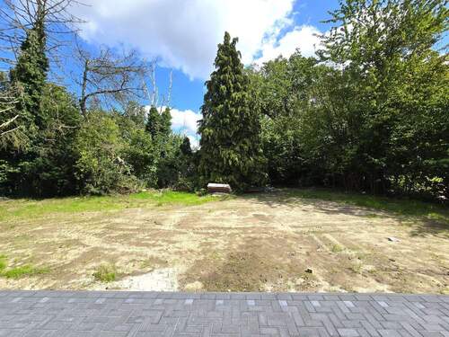 Blick in den Garten - 