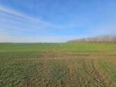 Angrenzendes Feld - 