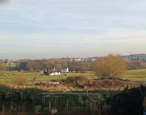 Ausblick vom Balkon - 