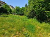 Tiefenstein Grundstück Wiese.jpg - 