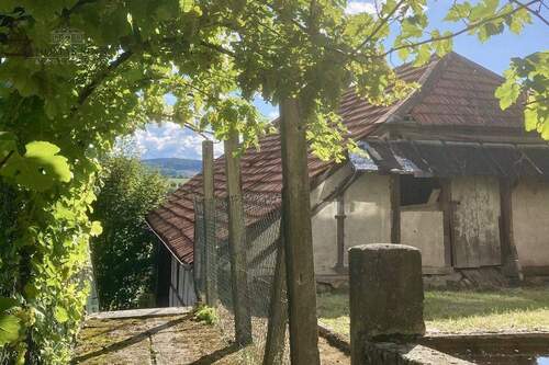 Gartenimpressionen - 