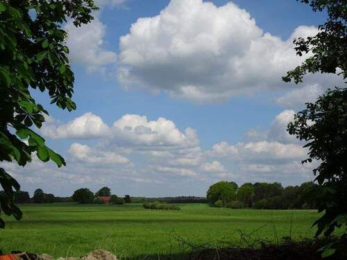 Ausblick v. Grundst. - 