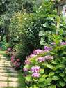 Garten (6) - 