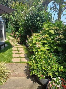 Garten (7) - 