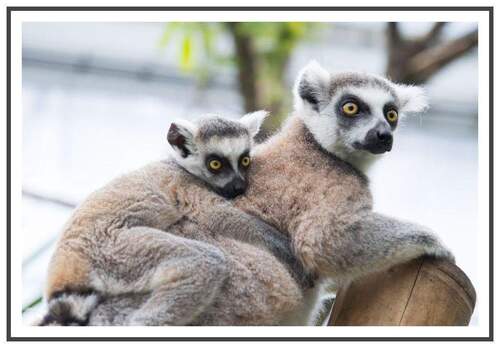 wir freuen uns auf SIE! - Ihre neue Familienoase mit EBK, Terrasse, Fahrstuhl & Fußbodenheizung!