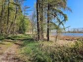 Weg am See.jpg - 