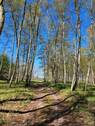 Weg zum See.jpg - 