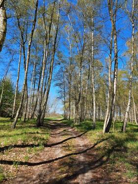 Weg zum See.jpg - 