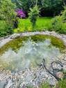 Teich - 