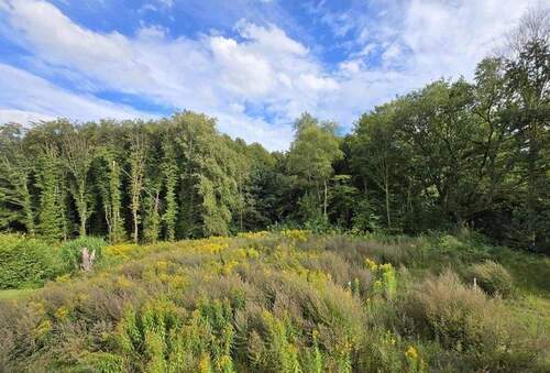 ca. 30 m langer Garten zum Wald - Doppelhaushälfte mit 140,00 m&sup2; in Kayhude zur Miete