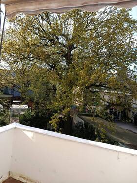 Balkon/Loggia - 