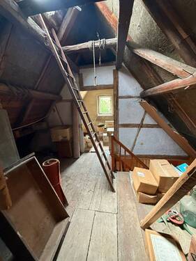 IMG-20250718-WA0020.jpg - 