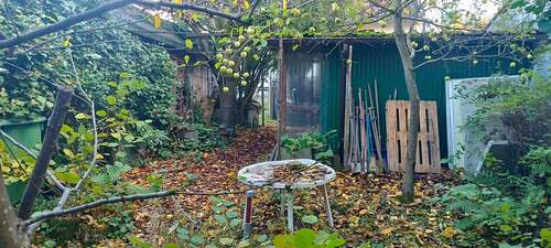 Garten - 2 Zimmer Einfamilienhaus in Ransbach-Baumbach