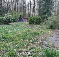 +++ IDYLLISCHES Grundstück in beliebter Waldrandlage von Glösa +++ - Chemnitz Glösa-Draisdorf