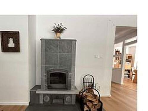 Tulikivi-Speckstein-Kaminofen - 