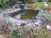 Fischteich - 