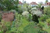 Gartenblick vom 1.OG - 