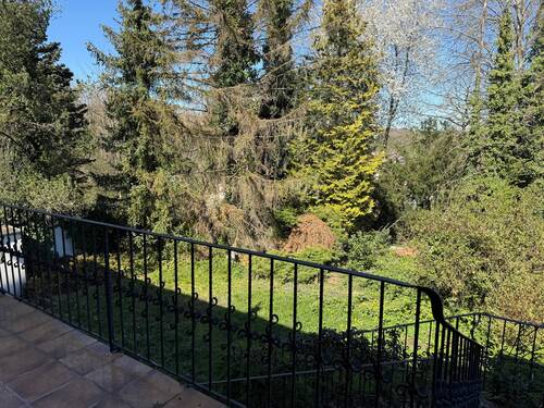 Begrünte Umgebung - 