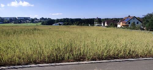 Grundstück - 4 Zimmer Einfamilienhaus zum Kaufen in Brand-Erbisdorf