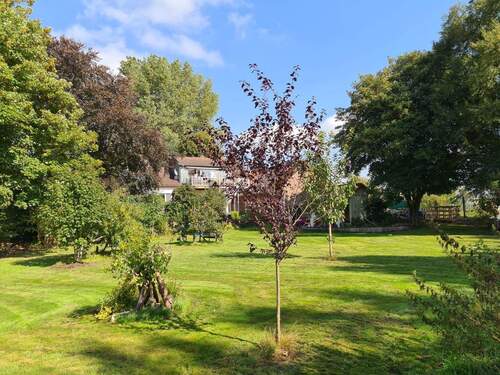 Rückansicht - 7 Zimmer Einfamilienhaus in Jade