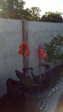 Bild 21 - 