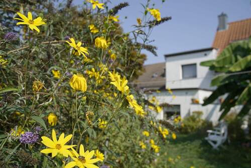 Gartem-Impressionen.jpg - 