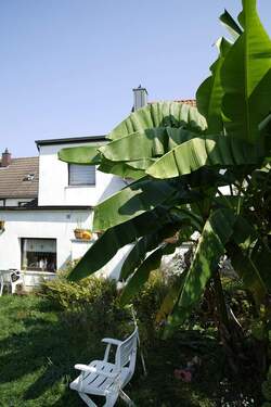 Garten-Haus.jpg - Ein-Zweifamilienhaus nahe der Urdenbacher Kämpe