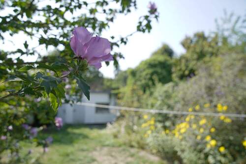 Garten1.jpg - 