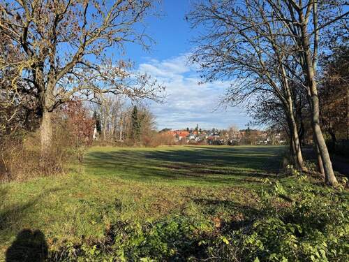 Blick in den Farrnbachgrund - 