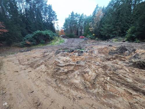 Grundstück - Grundstück in Thören
