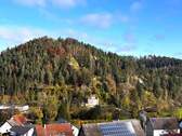 Aussicht - 7 Zimmer Einfamilienhaus in Epfendorf