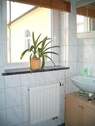 CIMG0961.jpg - 