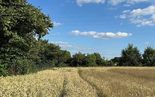 05 Abschluss Süd-West - Grundstück in Blankenfelde-Mahlow zum Kaufen