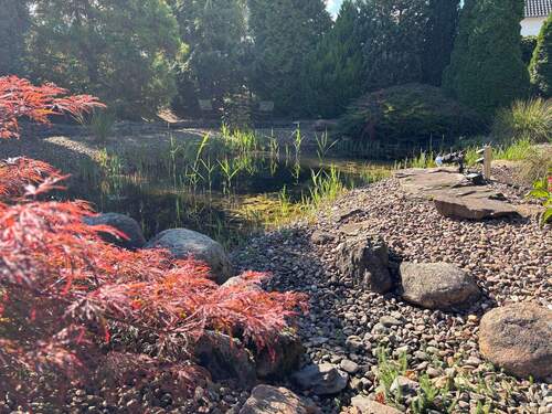 Gartenteich - 